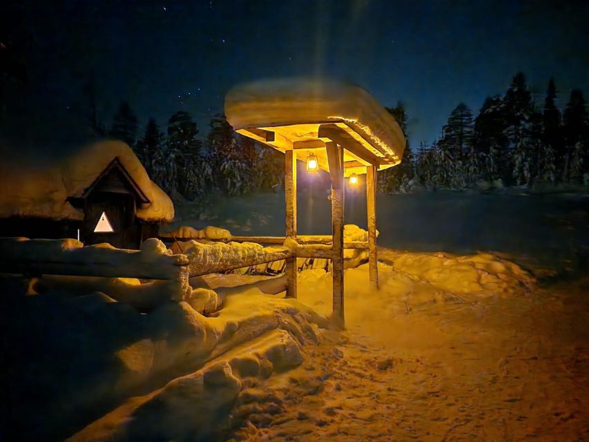 Northern Lights in the Wilderness - Guided Forest Hike