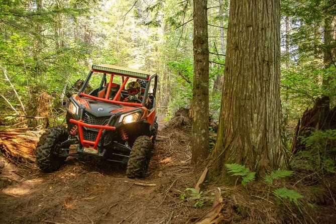 Off-Road UTV Tour: Explore Puerto Rico Minutes From San Juan - Tour Requirements