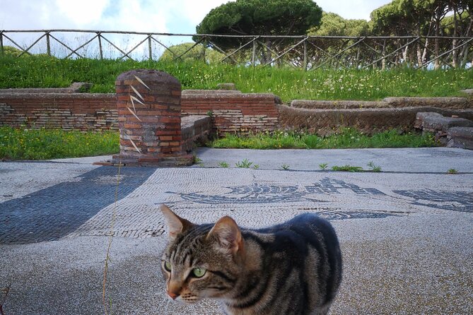 Ostia Antica Archeological Park With Italian GELATO - Meeting Point