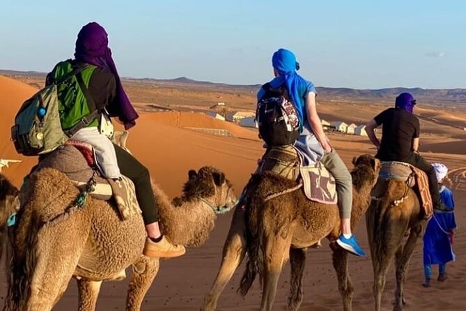 Overnight Stay in Desert Camp & Camel Trekking in the Sahara - Optional Additional Activities