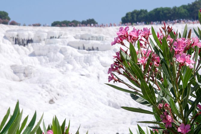 Pamukkale Day Tour From Selcuk - Pickup Details