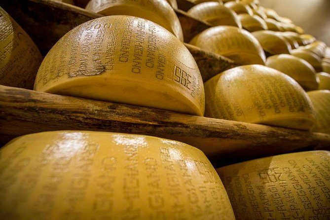 Parmigiano Reggiano Cheese Factory Tour & Tasting Experience - Parmigiano Reggiano Cheese Production