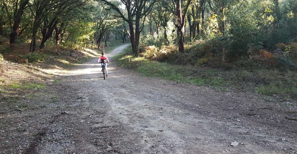 Peneda Gerês National Park: Self-Guided Electric Bike Tour - Course Details