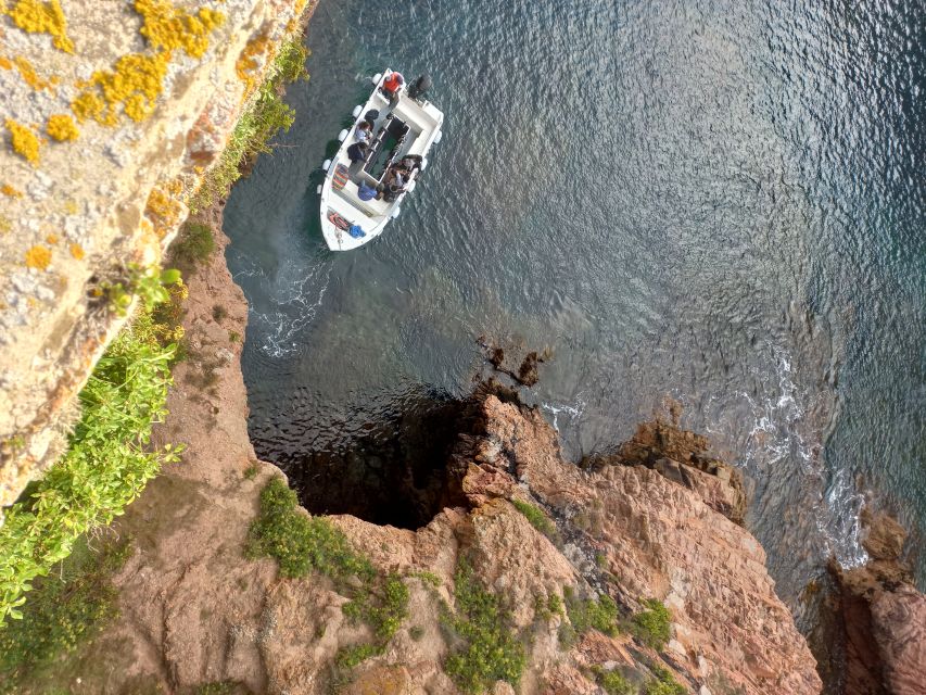 Peniche: Berlengas Island Round-Trip Ferry - Departure and Arrival Details