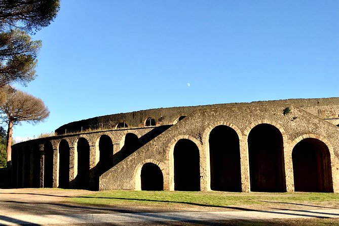 Pompei Vip: Tour With Ticket INCLUDED and Your Archaeologist - Accessibility and Participation