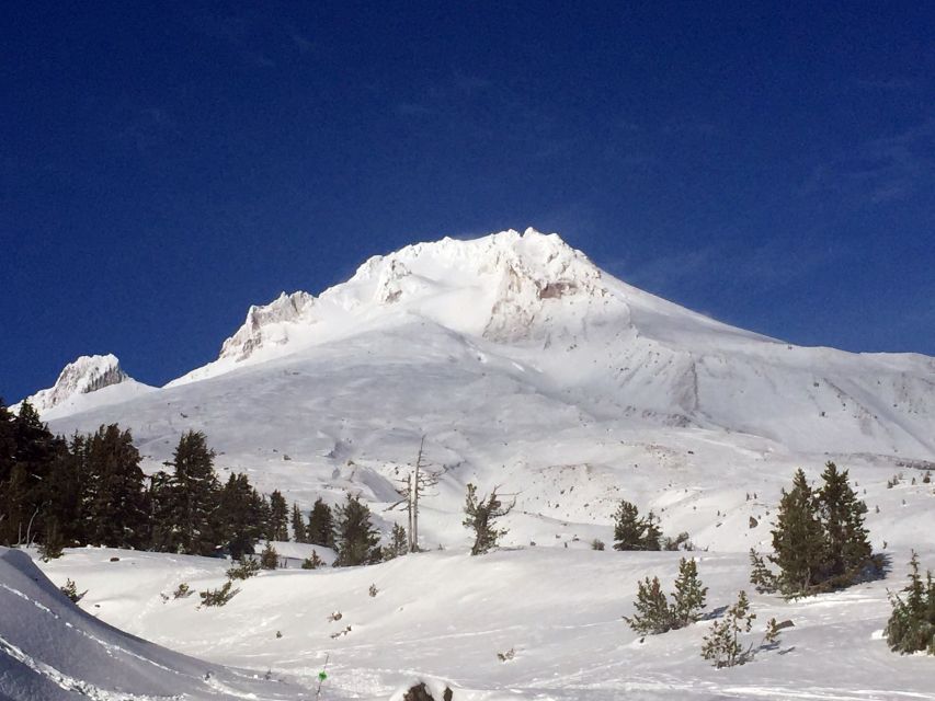 Portland: Mount Hood Wine and Waterfalls Full-Day Tour - Included in the Tour