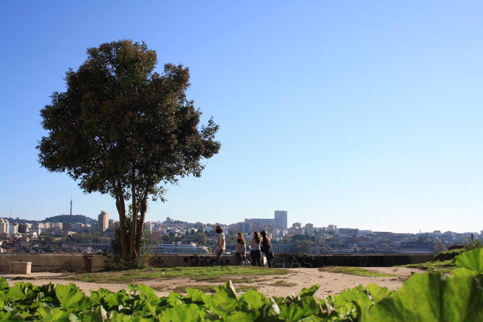 Porto: Half-Day Jewish Tour - Tour Experience