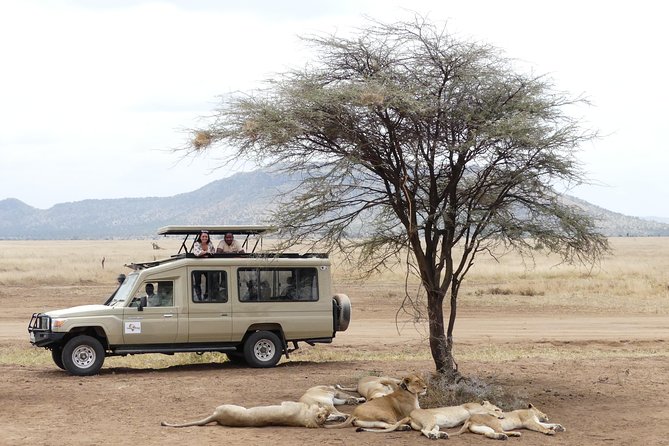 Private 6-Day Tarangire Manyara Crater and Serengeti With Mid-Range Lodges - Accommodation and Dining