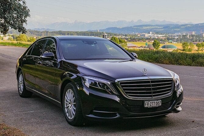 Private Arrival Transfer: From Zurich Airport to Lucerne - Additional Details