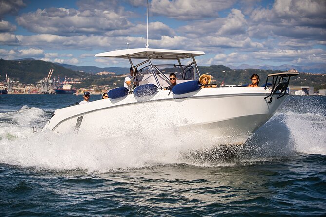 Private Boat Tour Cinque Terre and Gulf of Poets - Accessibility and Participation