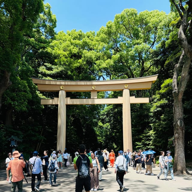 Private Car Tour With Meiji Shrine, Skytree, and Odaiba - Discover Iconic Landmarks