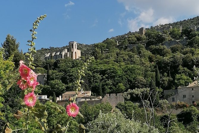 Private Full Day Tour Villages of the Luberon From Avignon - Local Vineyards and Tastings