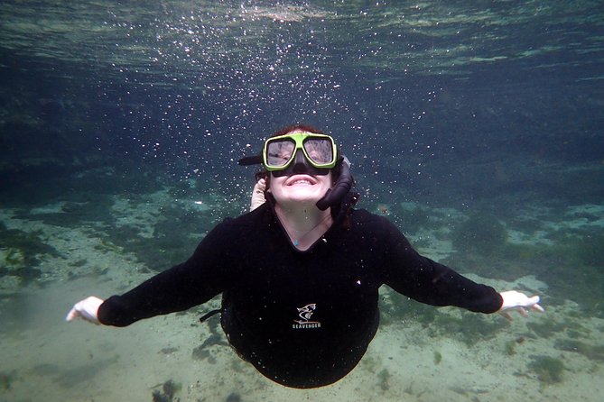 Private OG Manatee Snorkel Tour With Guide for up to 10 People - Health and Safety Measures