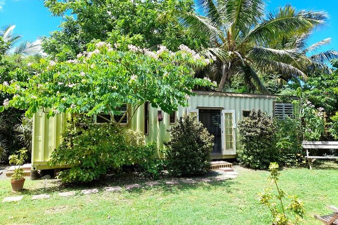 Private Pottery Experience at British Virgin Islands - Accessibility