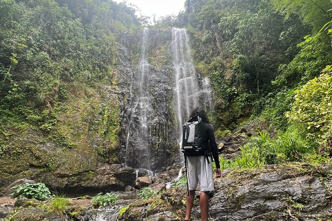 Private Rainforest Hike to Hidden Waterfall Tour With Transport - Waterfall Exploration