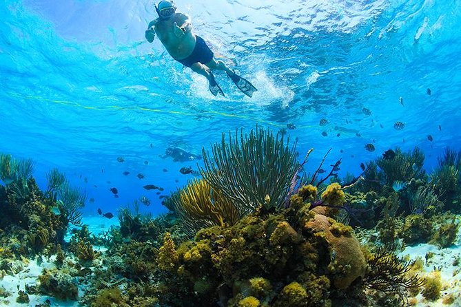 Private Stingray City and Snorkeling Half Day Charter for 6 Guest - Location and Meeting Information