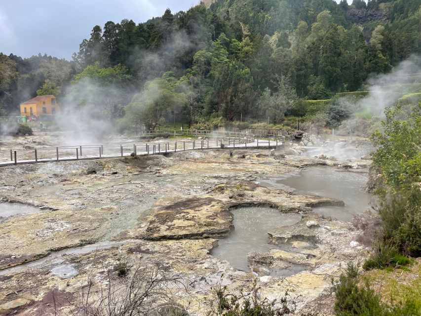 Private Tour of Furnas Valley, Gorreana Tea - Island Gems - Included in the Tour