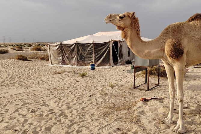 Private Tour to the Yellow Lake and Sand Dunes - Pickup and Meeting Point