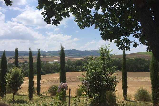 Private Tuscany Wine Tour Experience From Florence - Additional Details