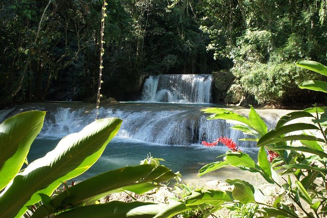 [Private] YS Falls From Negril - Entrance Fees + Lunch Included - Transportation Details