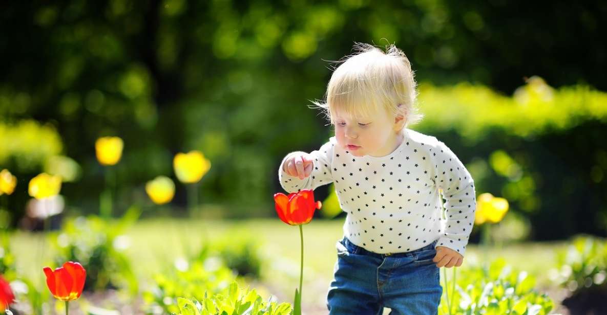 Professional Outdoor Baby Photoshoot in Amsterdam - Photoshoot Details