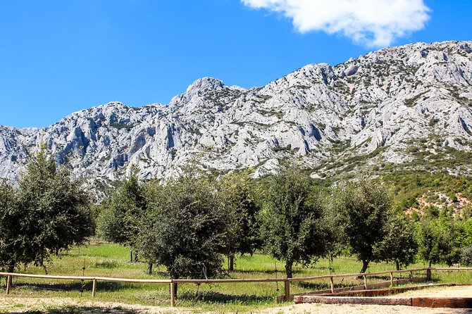 Provence - Mont Sainte Victoire in Search of Cézanne Private Wine Tour - Accessibility