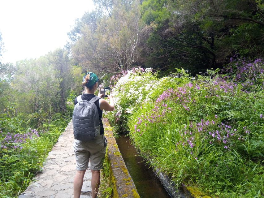 Rabaçal: Wind Lagoon, Risk Levada and 25 Fountains Levada - Travel to the Main Hiking Area