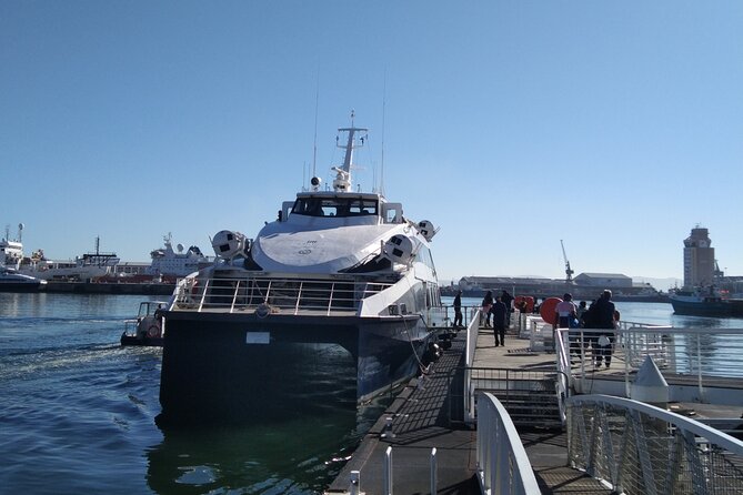 Robben Island Tour Including Pick up & Drop off From Cape Town - Guided Tour of the Island