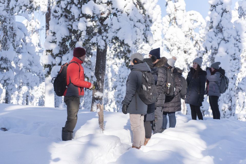 Rovaniemi: Wilderness Tour - Quiet Movement in Wilderness