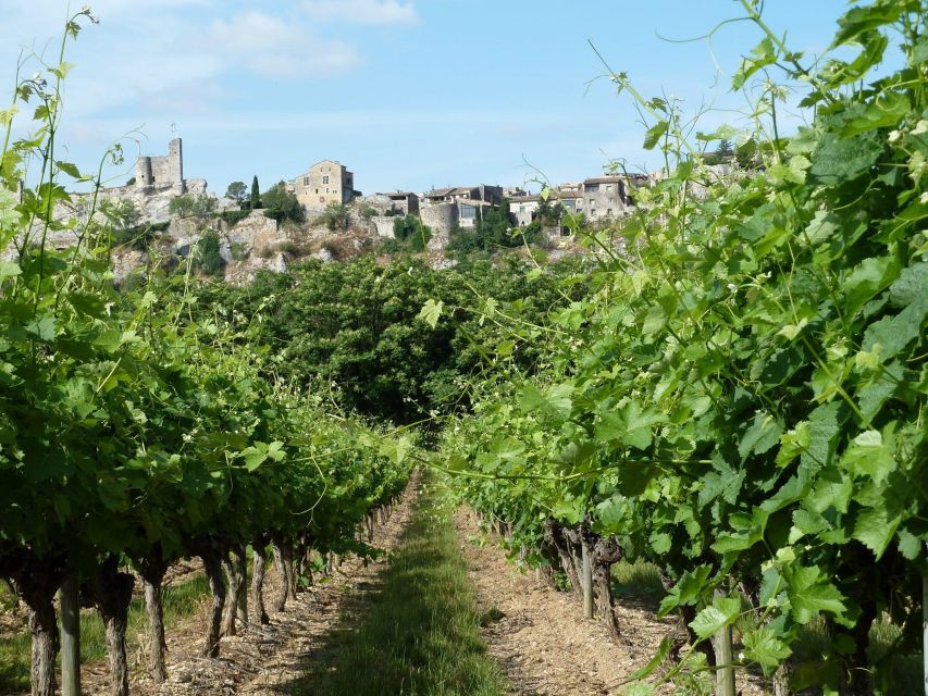 Saint-Martin-d'Ardèche: Electric Bike Wine Tour & Tasting - Inclusions in the Tour