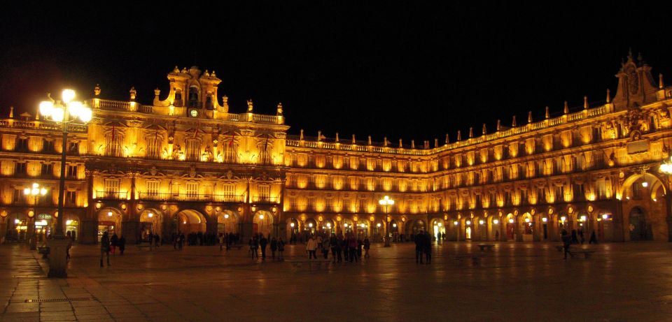 Salamanca: Private Guided Customizable Walking Tour - Customization and Experience