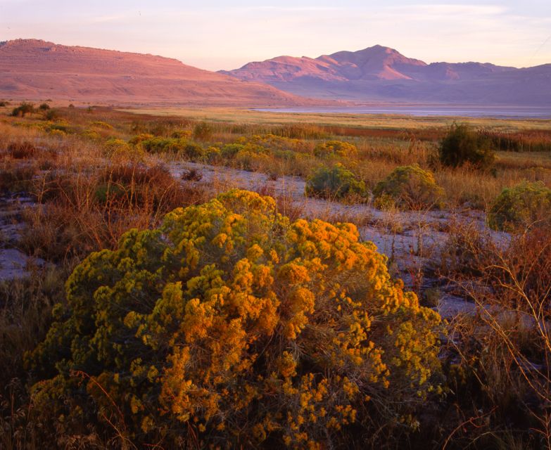 Salt Lake City: Great Salt Lake Antelope Island Guided Tour - Inclusions and Amenities