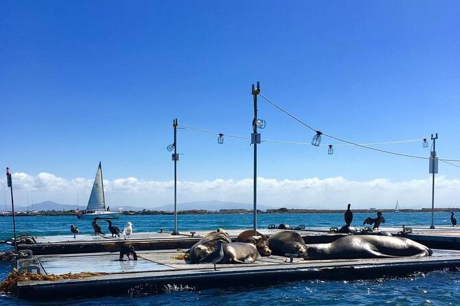 San Diego Harbor Speed Boat Adventure - Meeting Point and Logistics