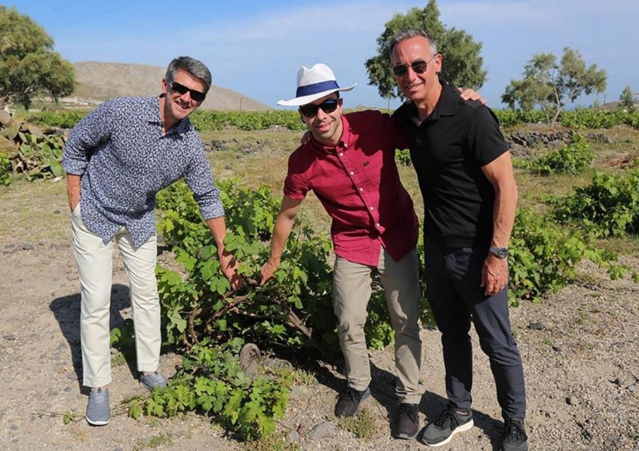 Santorini: Small-Group Sunset Wine Tour With Santo Winery - Experience Highlights