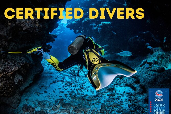 Scuba Diving for Certified Divers in Costa Adeje - Certification Requirements