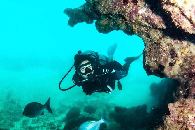 Scuba Tour for Certified Divers in San Juan - Meeting Point and Location