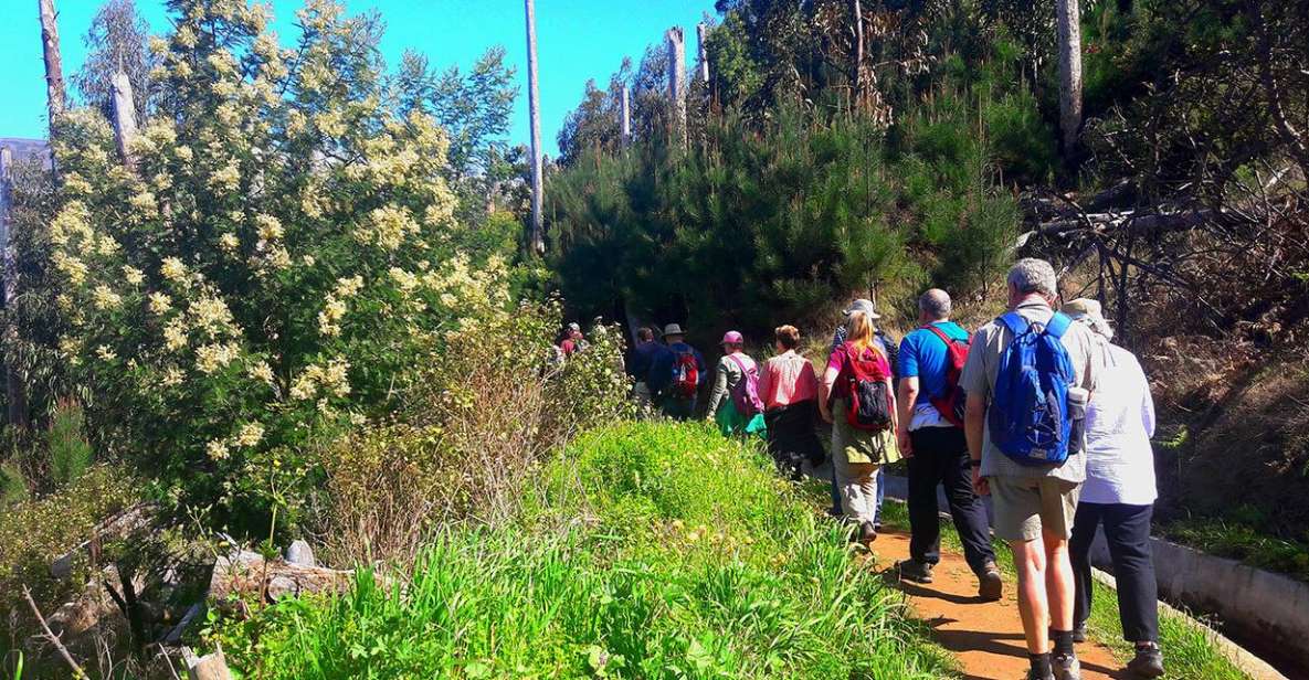 Serra De Água Valley Levada Walk - Whats Included