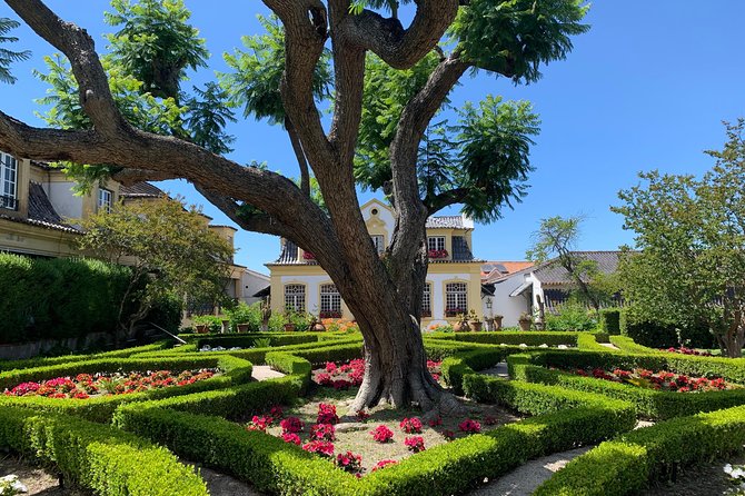 Setúbal Wine Tour With Visit and Tasting at 2 Wineries - Winemaking Traditions