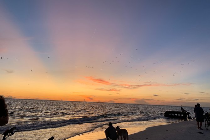 Siesta Key Electric Bike Sunset Tour - Booking and Pricing