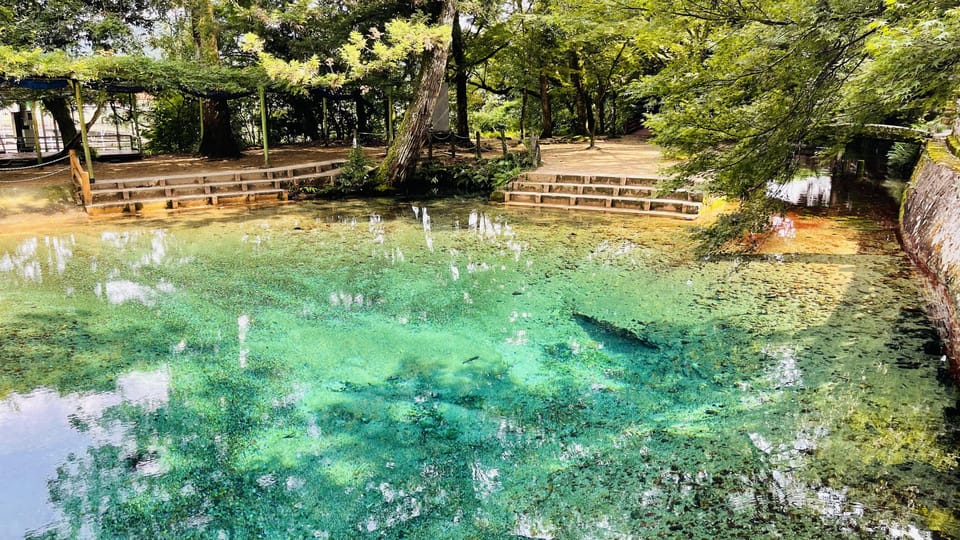 Sightseeing Bus Tour Happiness Tours on the Yamaguchi-go B - Beppu Benten Pond