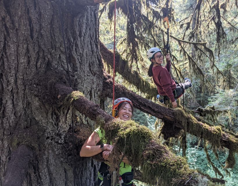 Silver Falls State Park: Tree Climbing Sunset Tour - Outdoor Attire and Gear