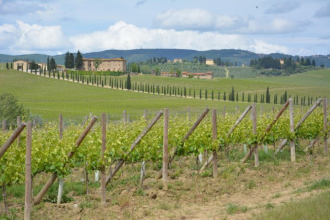 SMALL GROUP Chianti 2 Wineries & Lunch (Max 8 People) - Meeting Point and Time