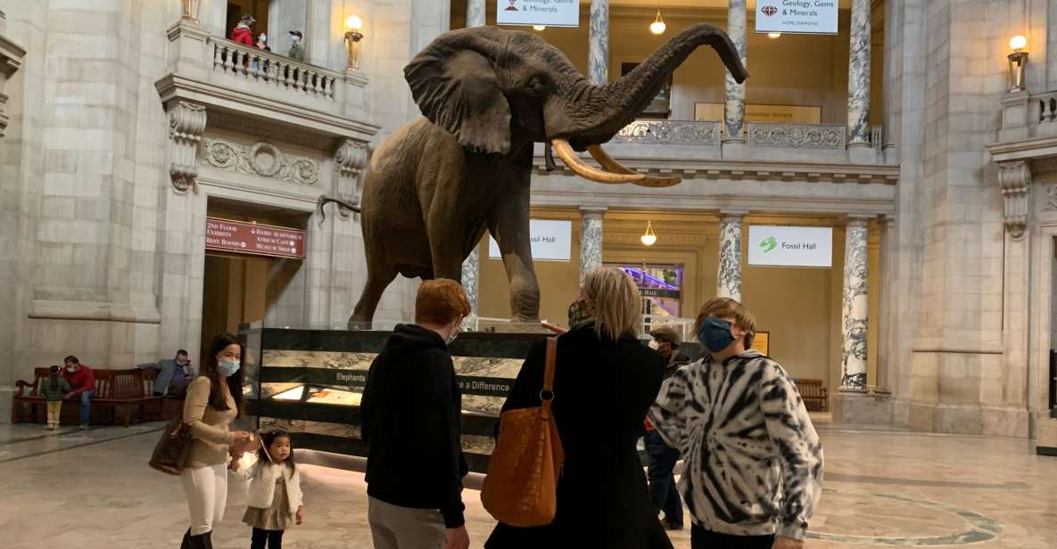 Smithsonian National Museum of Natural History Guided Tour - Tour Logistics