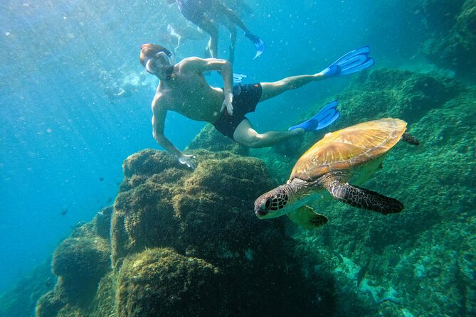 Snorkeling With Turtles in Fujairah With Transfer & BBQ Lunch - Luxury Dive Boat