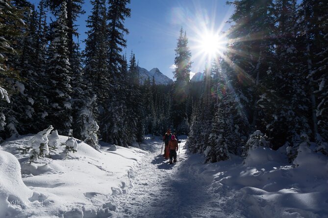 Snowshoeing in Kananaskis - Exploring Local Flora and Fauna