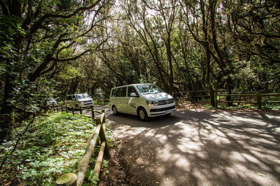 South Tenerife: San Cristóbal De La Laguna and Anaga Tour - Exploring Anaga Country Park