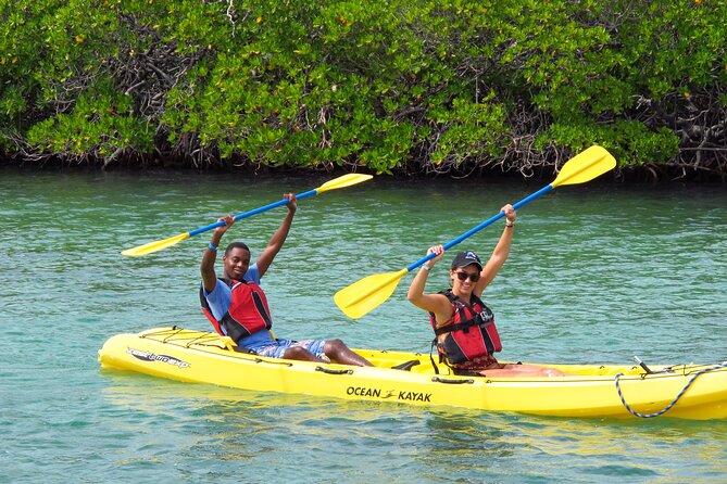 St Thomas Shore Excursion: Mangrove Lagoon Kayak and Snorkel Tour - Accessibility and Fitness