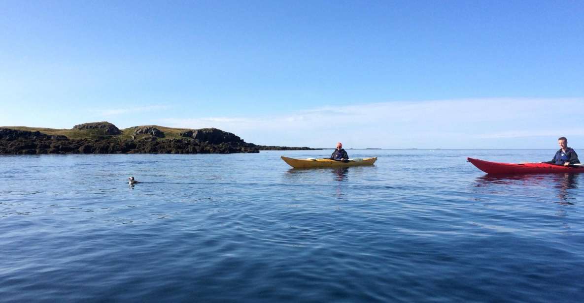 Stykkishólmur: 2-Hour Sea Kayak Tour - Explore Breiðafjörður Bay