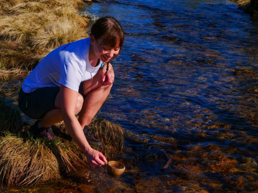 Summer Short Break in Northern Lapland - Day 1: Hike in the Taiga Forest