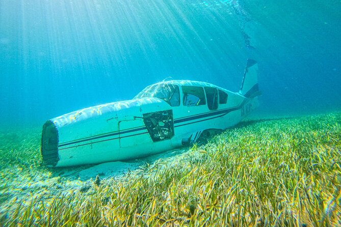 Suncay SNUBA Diving Adventure With Lunch - Health and Safety Considerations